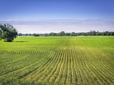 Land